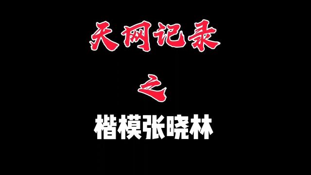 天网:楷模张晓林#普法栏目剧