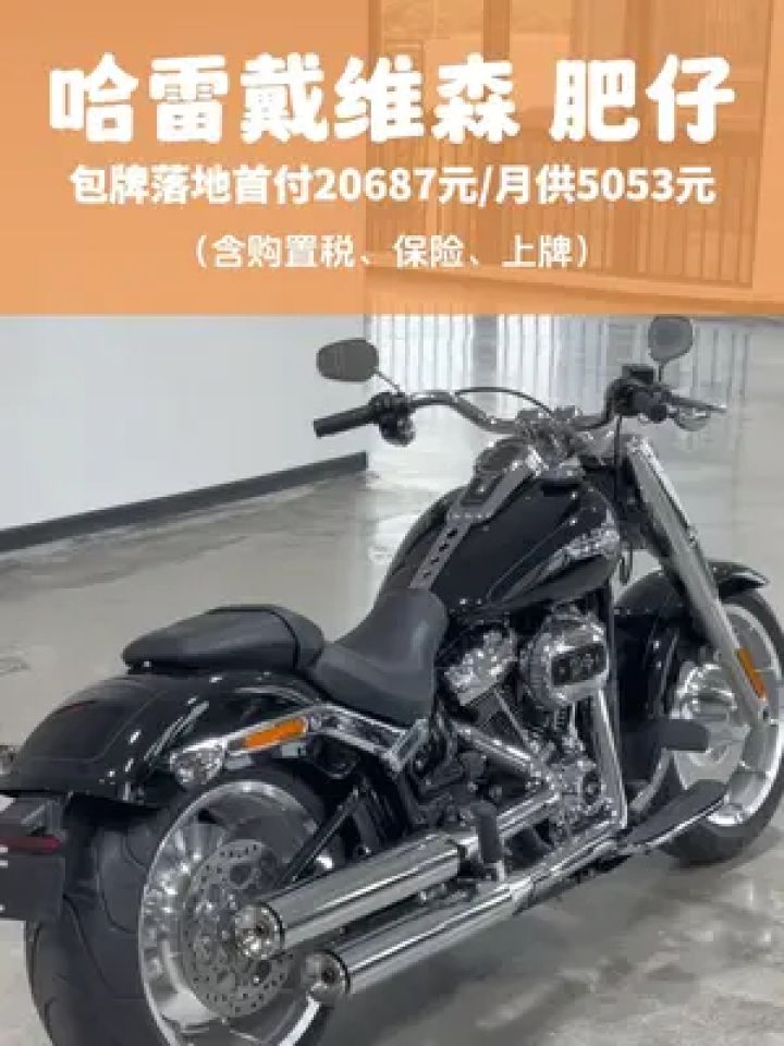 包牌落地首付20687元/月供5053元(含购置税,保险,上牌)#哈雷 #机车