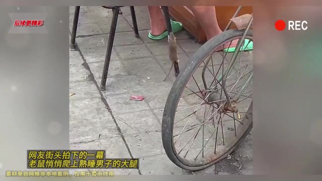 网友街头拍下的一幕,老鼠悄悄爬上熟睡男子的大腿