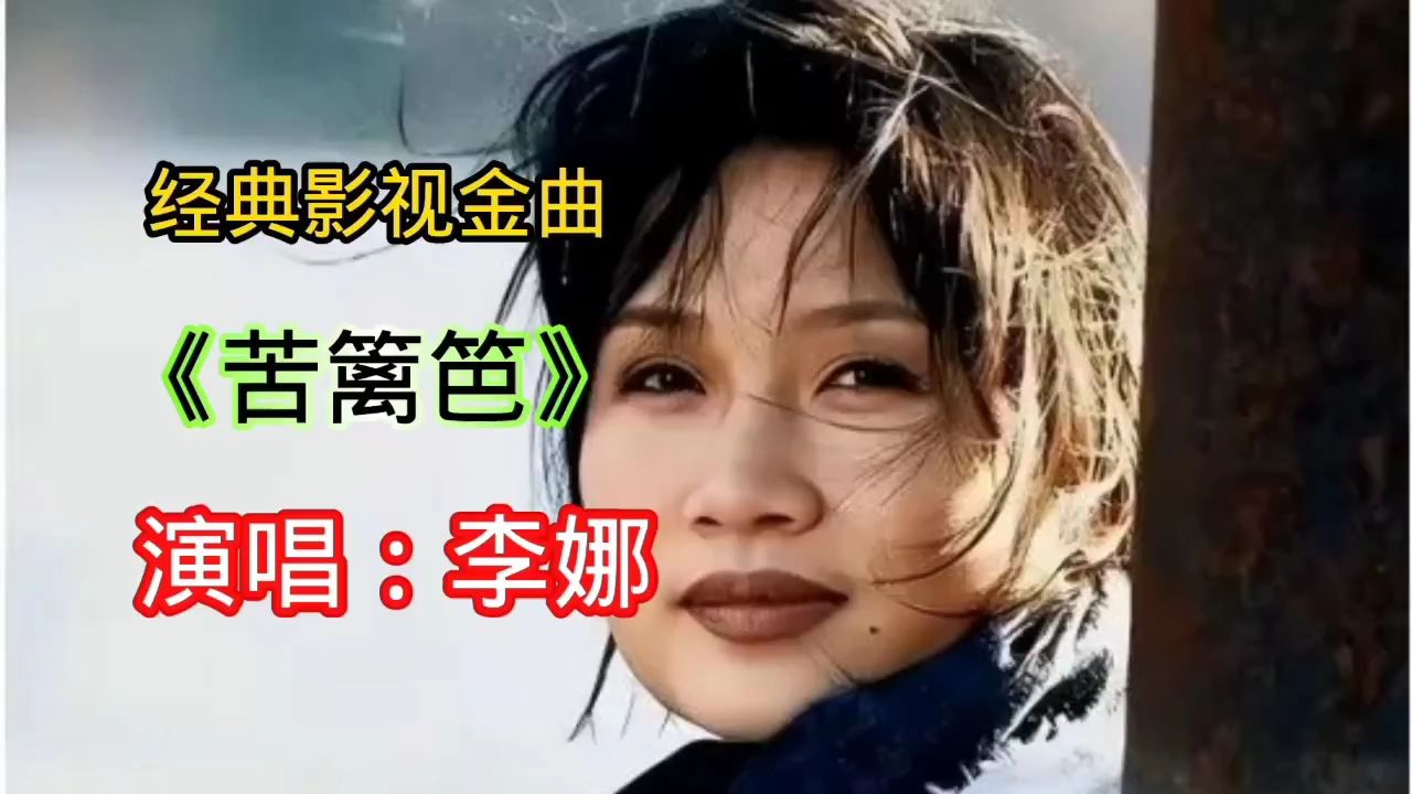 影视金曲经典《苦篱笆》李娜演唱