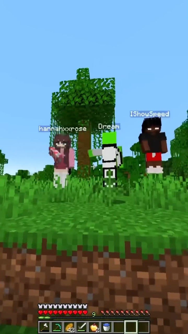 我的世界:整蛊mc最强玩家dream!