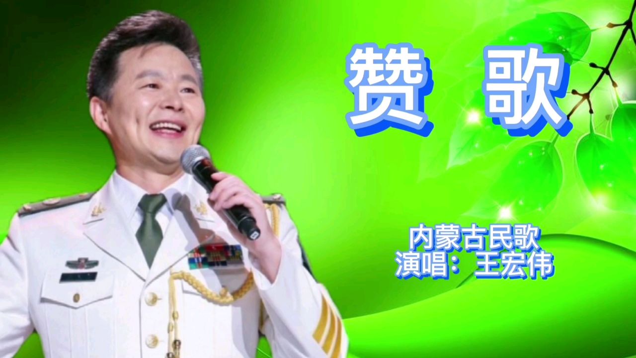 歌手王宏伟图片