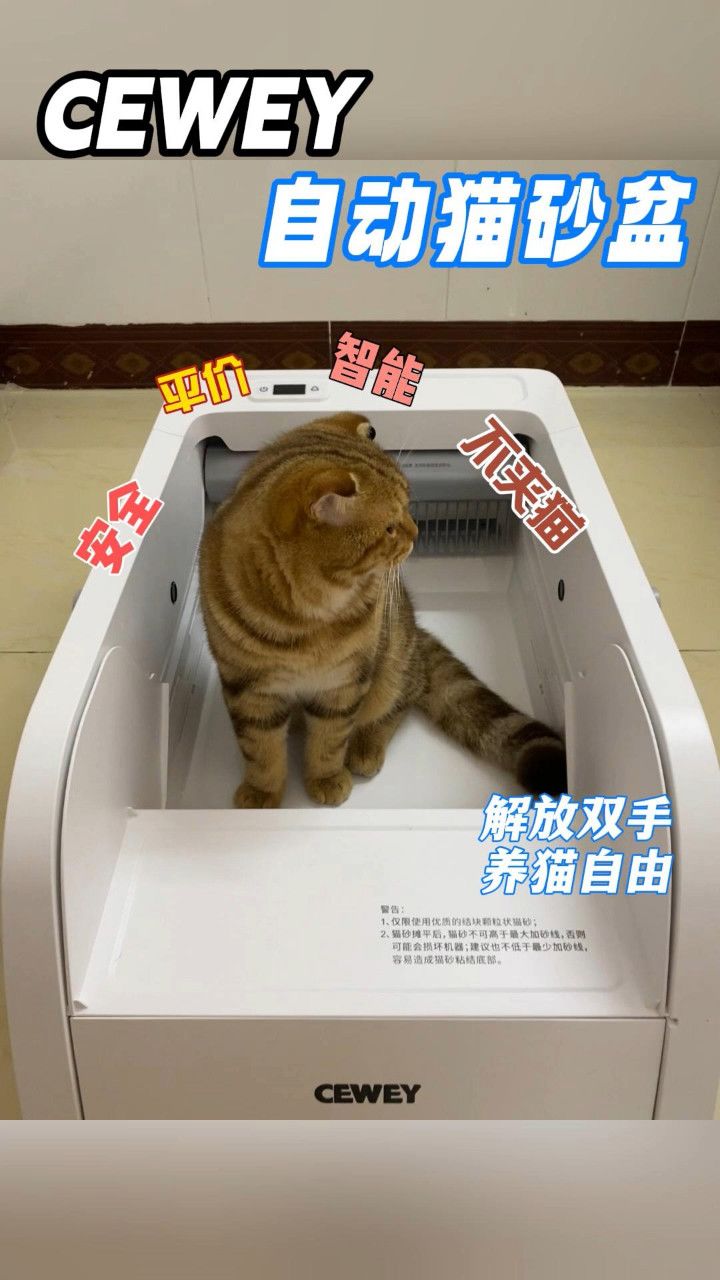 智能猫砂盆!猫咪亲用分享!