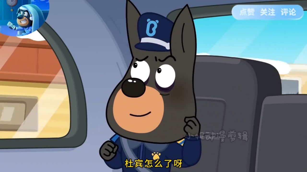 拉布拉多警长,不要熬夜按时就寝