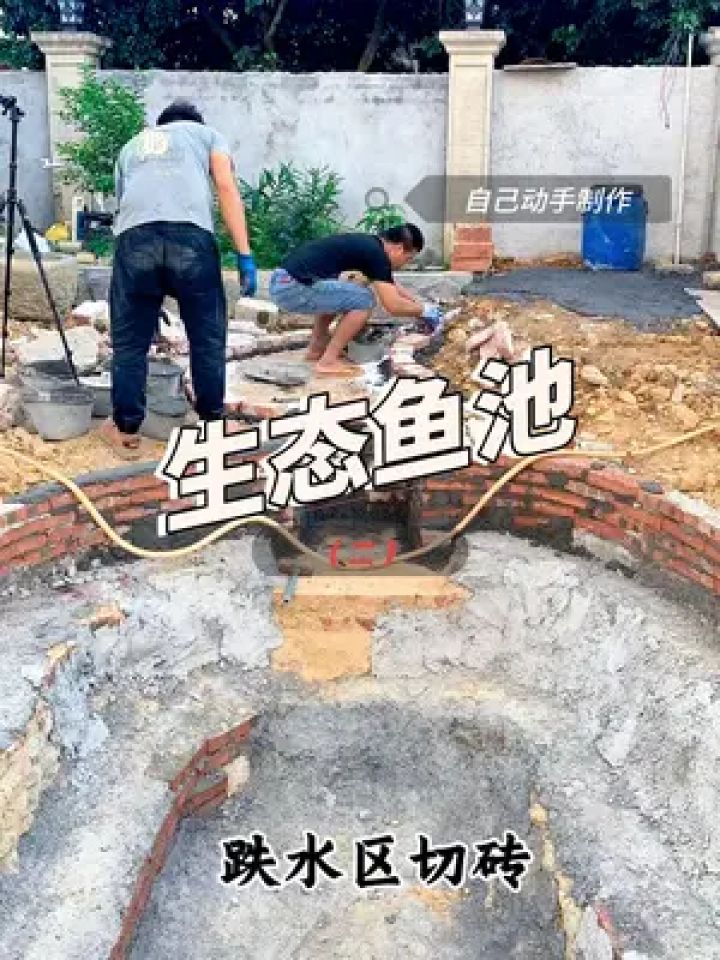 自制水泥鱼池过程图片