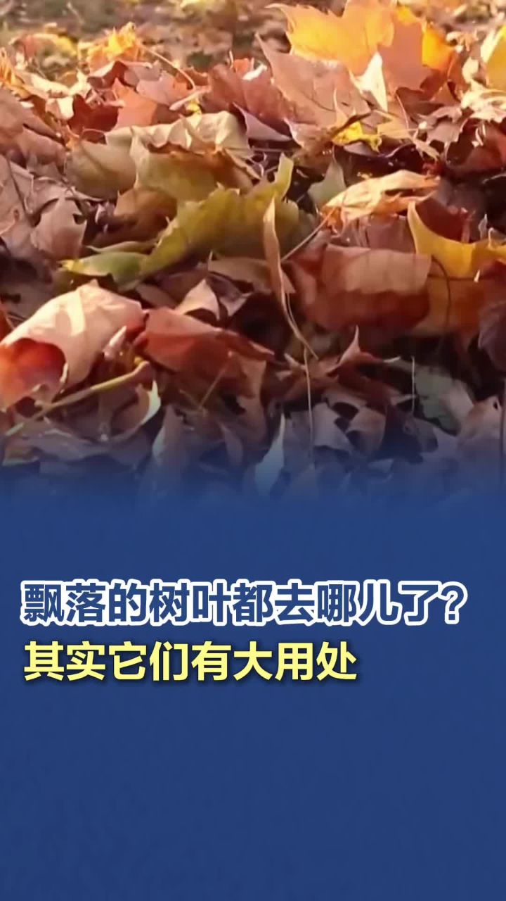 ƮҶȥĶʵдô