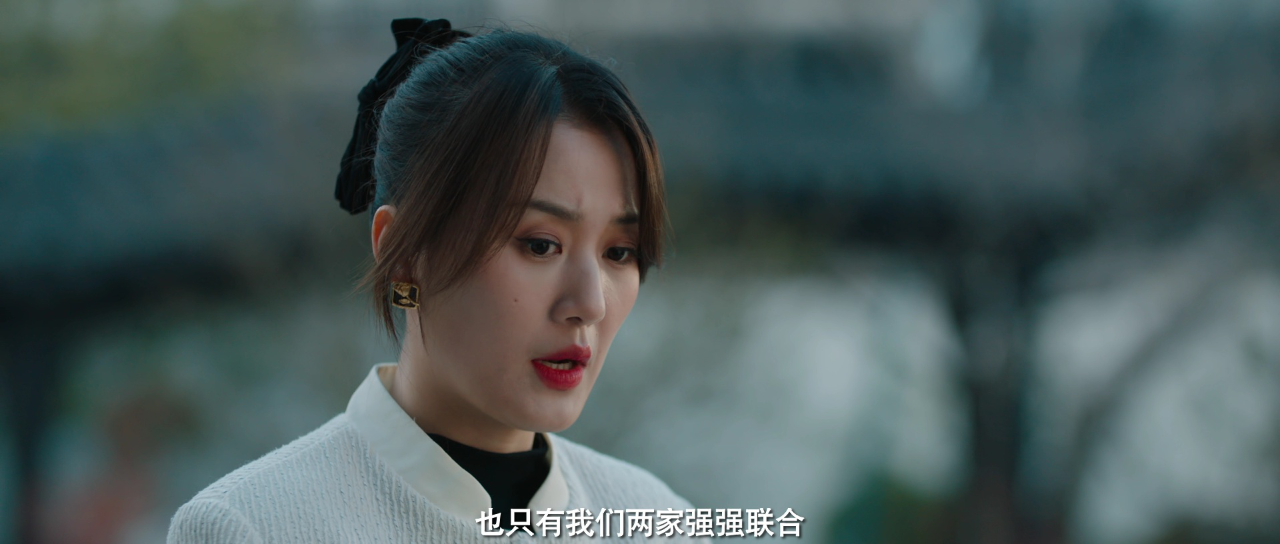 丽人归来 6集