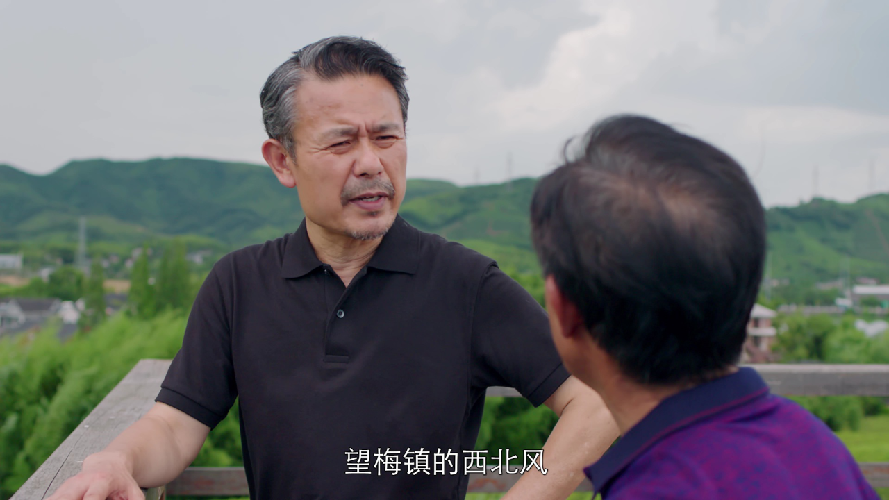 虎鹤双行 9集