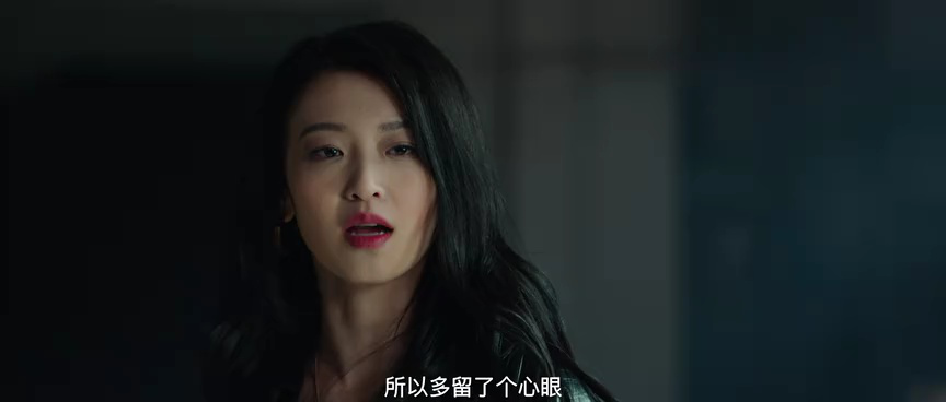 丽人归来 17集