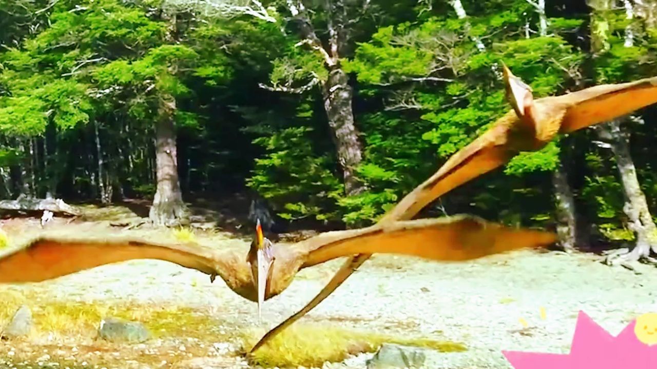 空中之王-风神翼龙