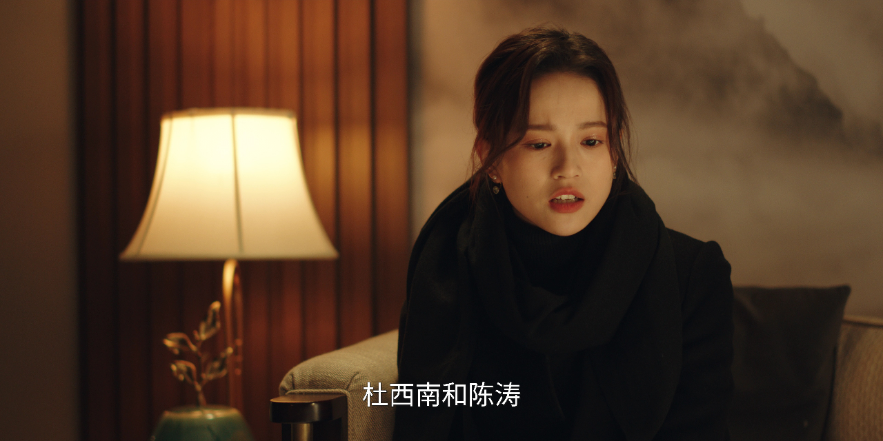 我叫赵出息 22集