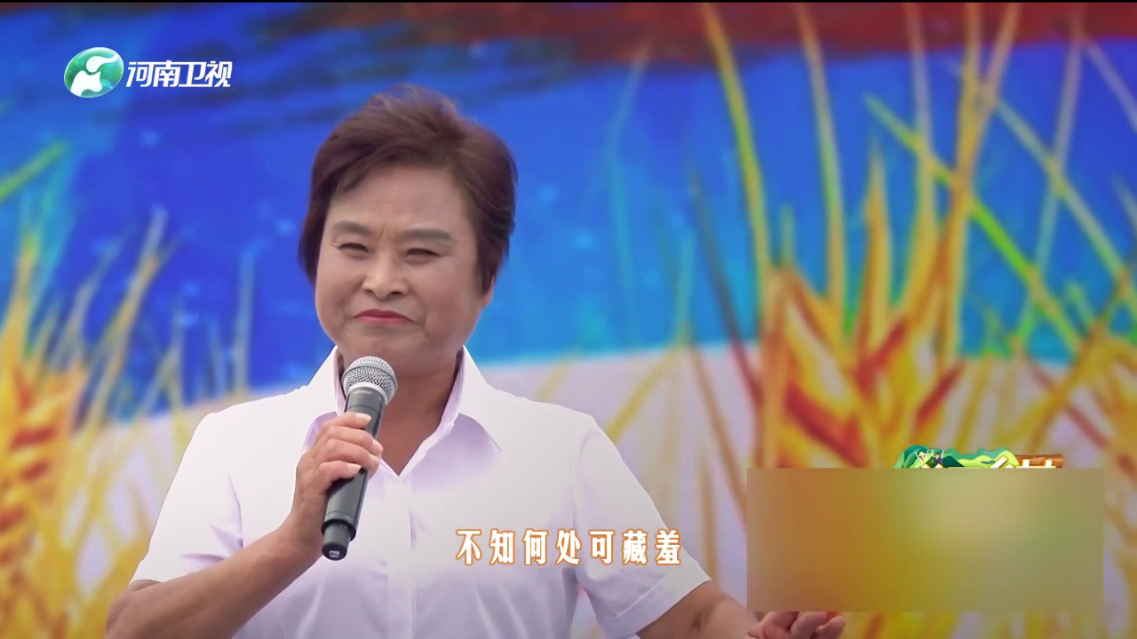 杨帅学 河南坠子《黄河人家》
