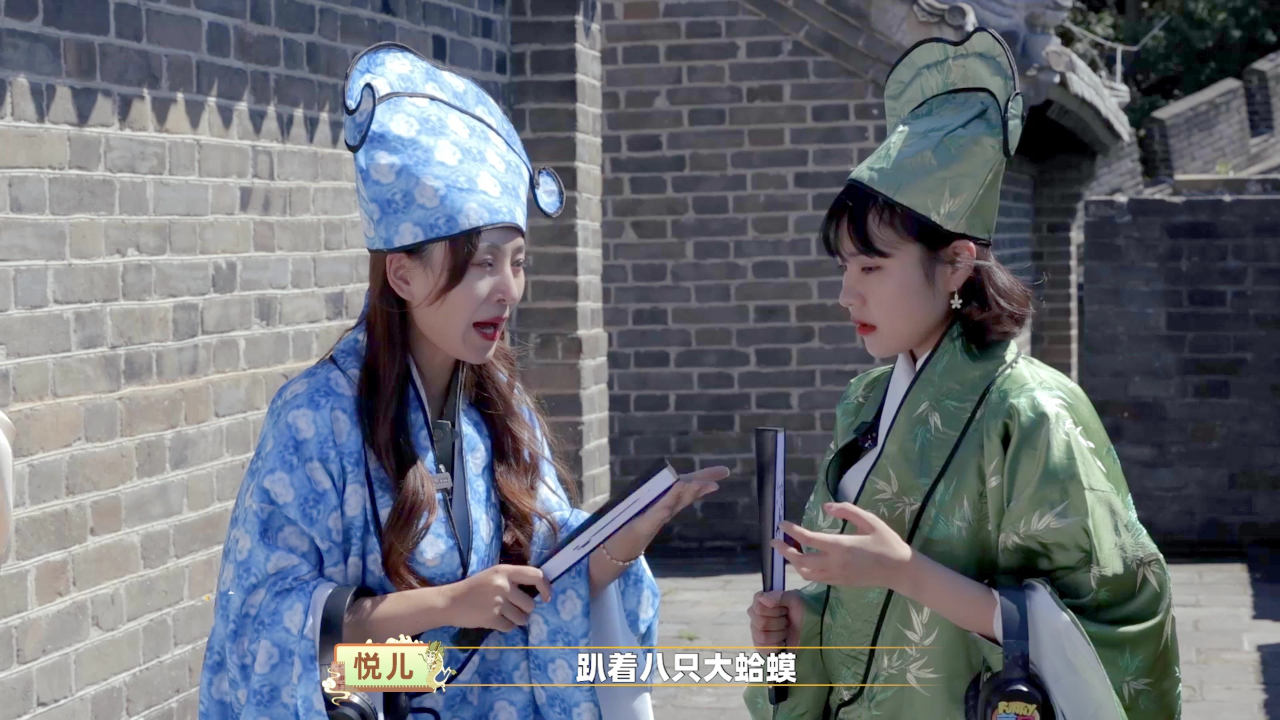 蕃尼探长城 28集