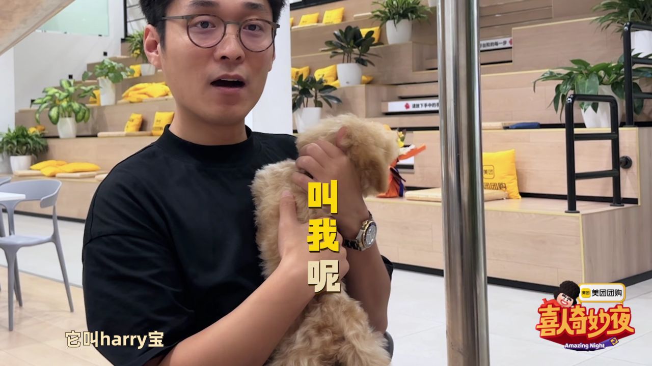 这喜花絮_花絮：高海宝找小狗索要game点？_综艺_高清完整版视频在线观看_腾讯视频