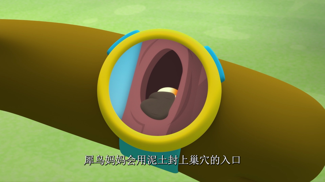 海底小纵队第十季[英文版] 14集