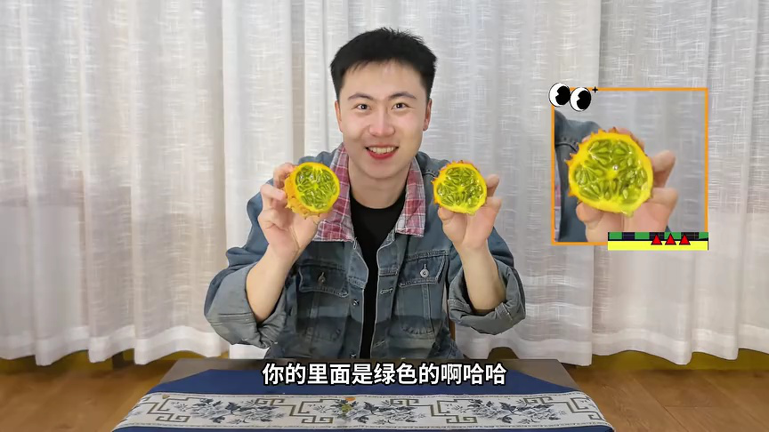 伶可兄弟第二季 496集