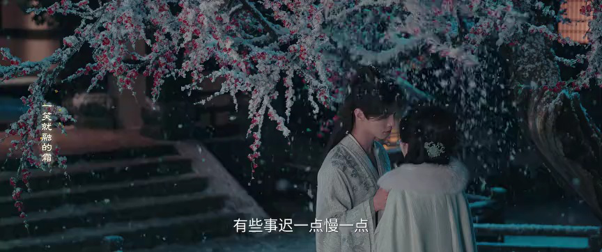 百花杀 14集