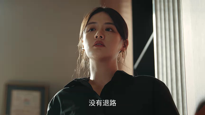 她的盛焰 14集