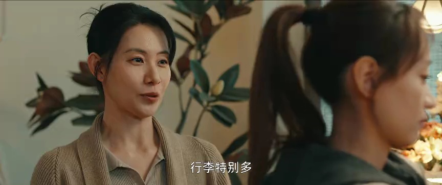 被隐匿的真相精编版 8集