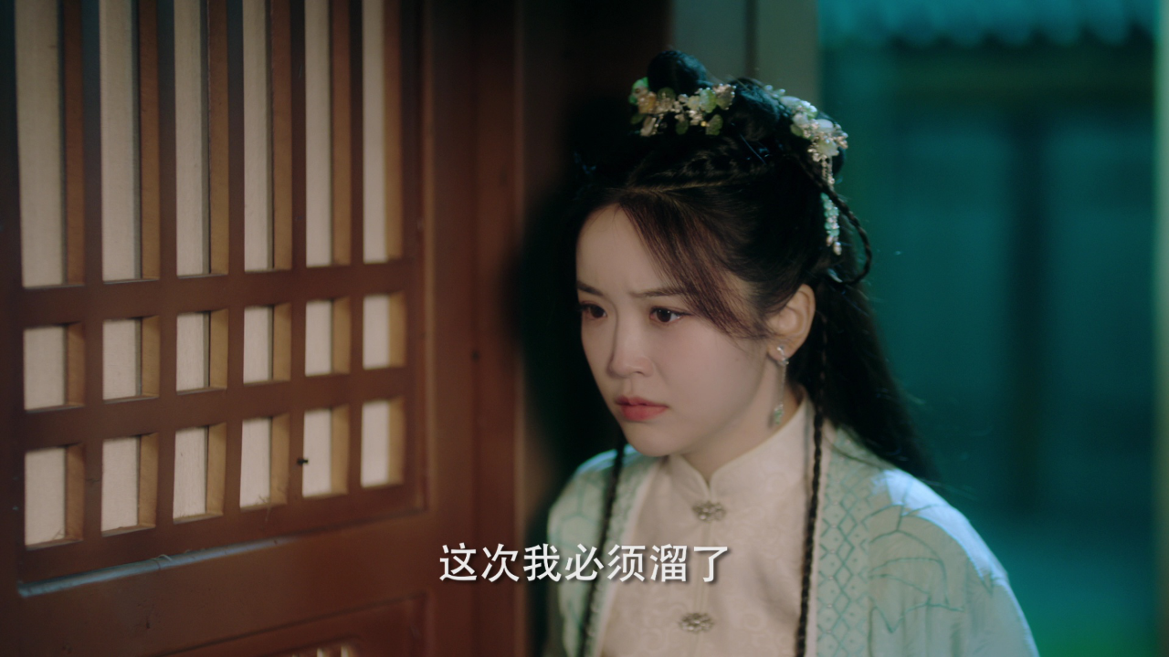 陆昭昭的刺客笔记 5集