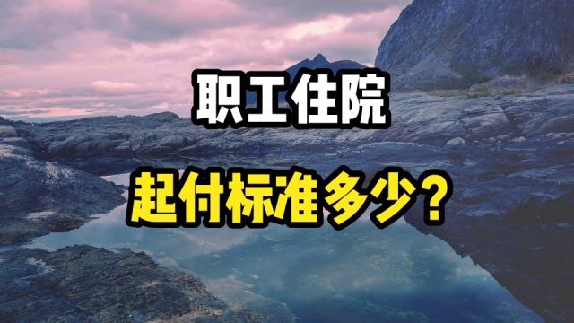 职工住院以后,医保的起付标准是什么?