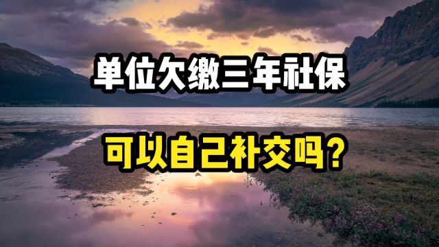 单位拖欠三年的社保,我能不能够自己补缴呢?