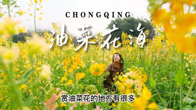 报告!重庆三板溪的千亩油菜花海可以安排啦~