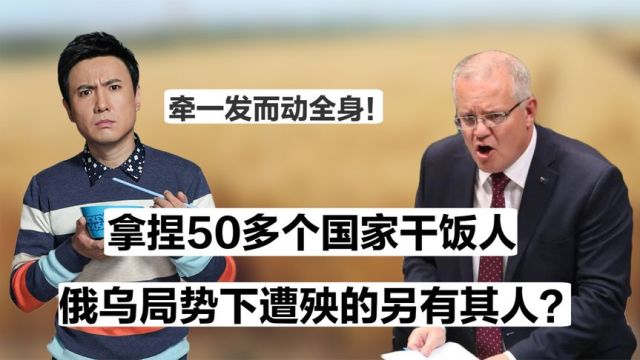 明星副业有多火热?沈腾一碗面45元,意外引出中国面食品牌的出路