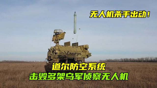 无人机杀手!道尔防空系统击毁多架南顿涅茨克方向的乌军无人机