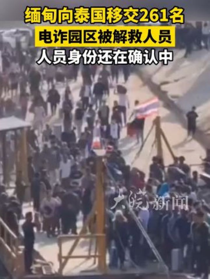 缅甸向泰国移交261名电诈园区被解救人员人员身份还在确认中#电诈园区#缅甸#泰国_高清