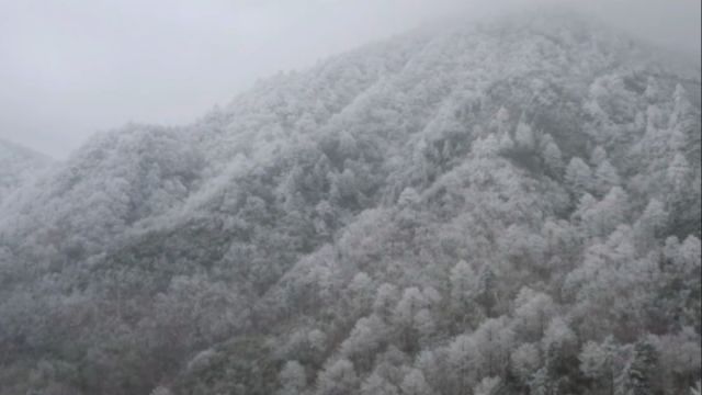 解锁“初雪”模式 航拍视角赏安吉美景