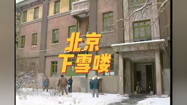 北京的初雪,终于来了