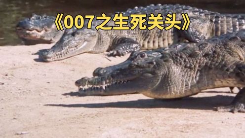 《007之生死关头》邦德被困鳄鱼池中间，急中生智，上演鳄鱼池水上漂