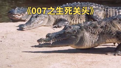 《007之生死关头》邦德被困鳄鱼池中间，急中生智，上演鳄鱼池水上漂