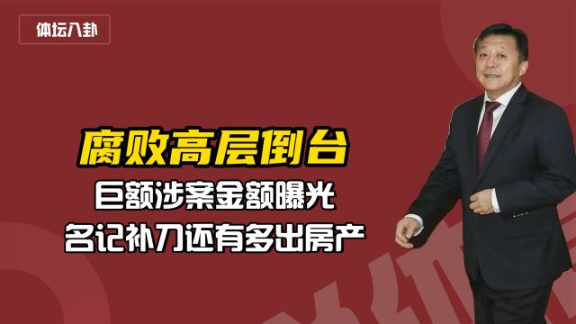 后续!腐败高层倒台,巨额涉案金额曝光,名记补刀还有多出房产