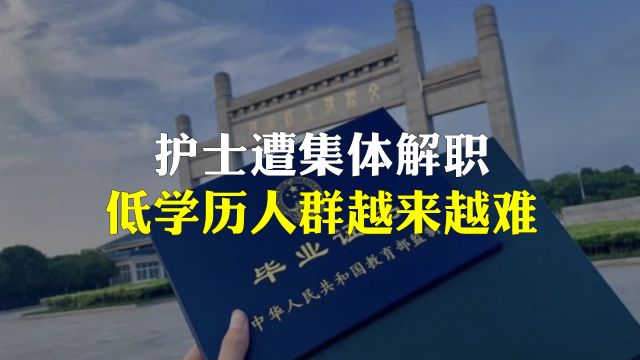 几十名护士遭集体解职,低学历会越来越难?学历贬值的最终真相