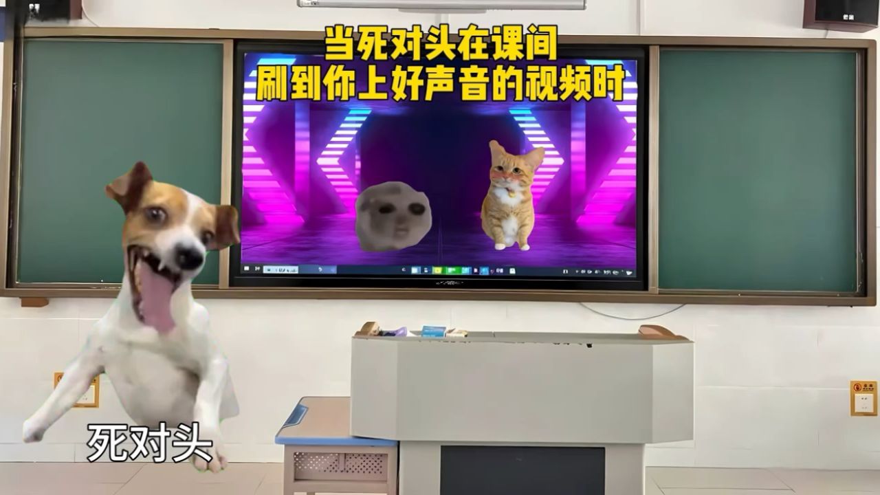 当死对头在课间刷到你上好声音的视频时.#猫meme#音乐分享#戴上耳机#猫meme小剧场#热点_高清1080P在线观看平台_腾讯视频