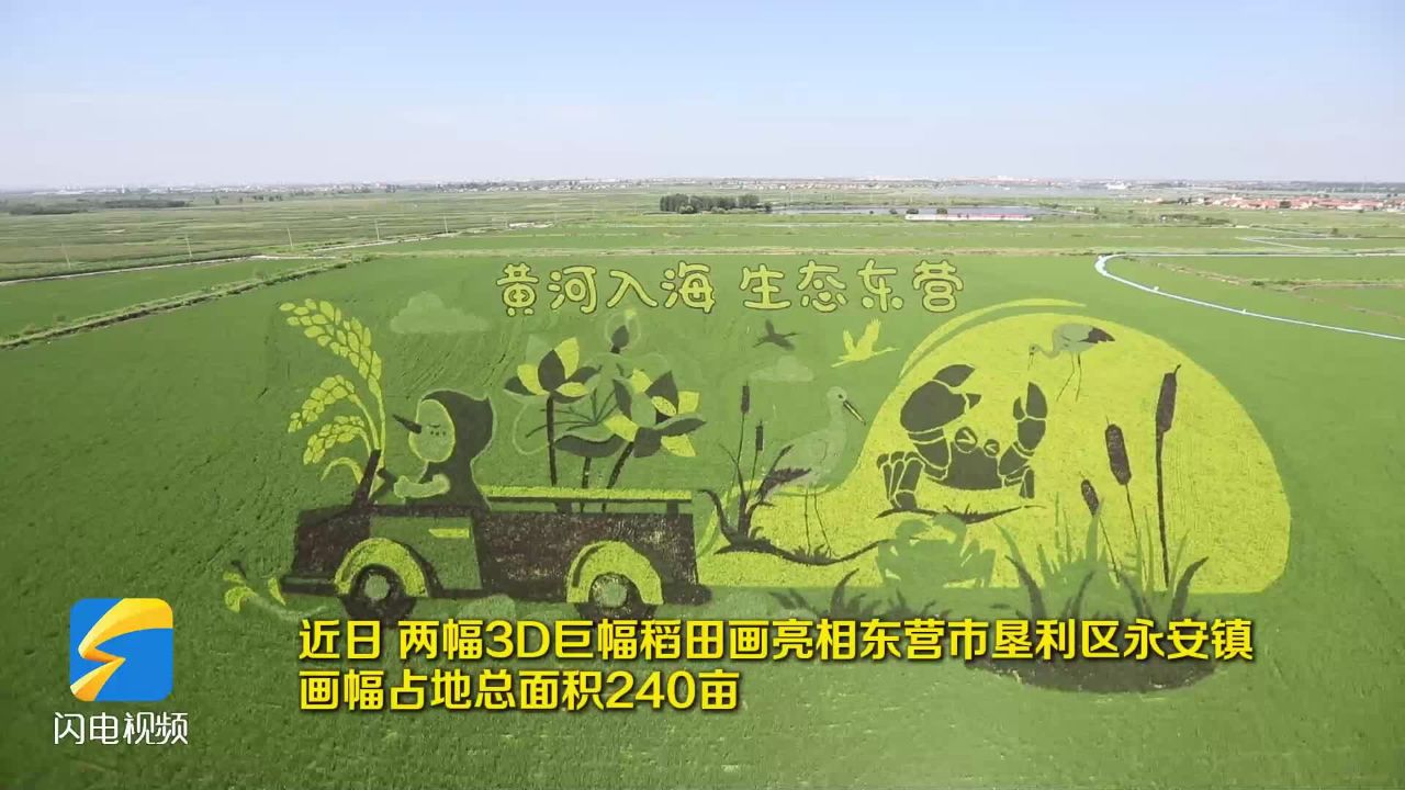 大地作纸 水稻为墨 东营市垦利区巨幅稻田画绘就历史与生态画卷