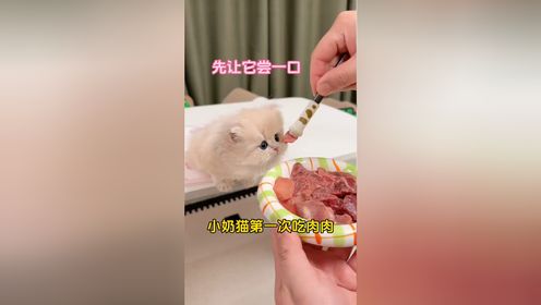 腾讯视频