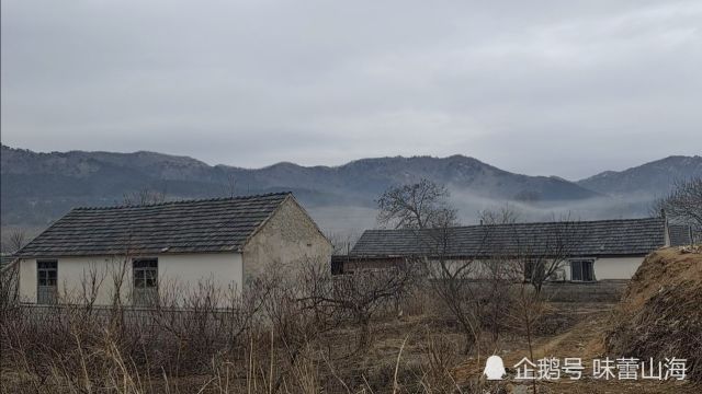 初三清晨,在威海乳山小山村,看炊烟袅袅,听鸟鸣鸡叫