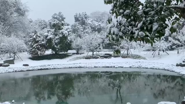 绝美!一夜大雪,游客早起到东湖听涛景区赏景玩雪