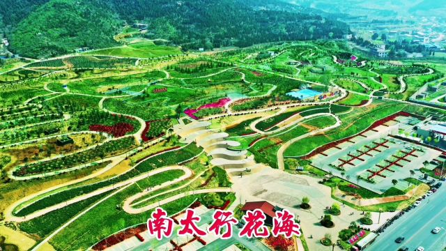 焦作北郊新建南太行花海 紧邻影视城 千亩梯田 花团锦簇 市民如织