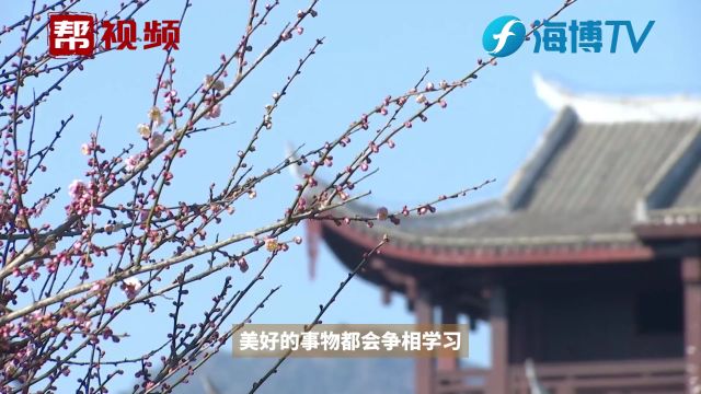 福州人搓米时 不止在冬至 小寒筅堂后 米时送亲友增进感情