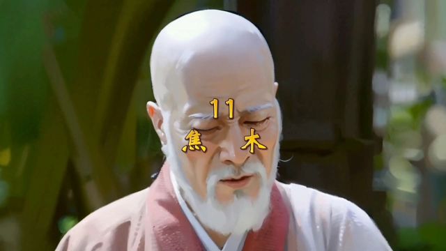 11—焦木