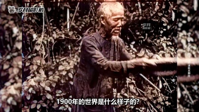 实录1900年时期的中日韩越印等五国实拍影像,各国民生大比拼