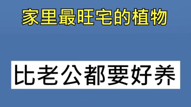 鉴定下“高能”营销号