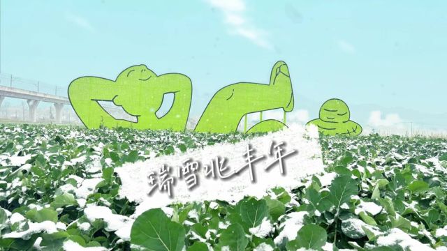 瑞雪兆丰年,成都迎来了2024年的第一场雪,环城生态区上白茫茫的一片,好一幅冬日雪景图,快来赏雪景,拍美照