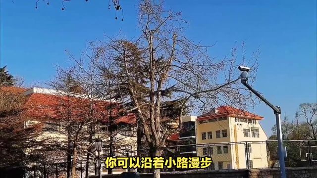 青岛旅游攻略自由行,吃喝玩乐一网打尽,快来收藏!