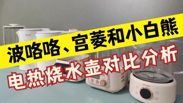 热门电热烧水壶推荐,波咯咯、宫菱和小白熊哪个品牌更推荐?