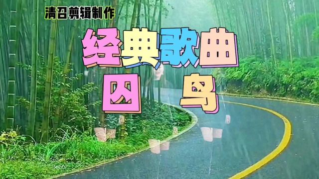 经典歌曲一囚鸟